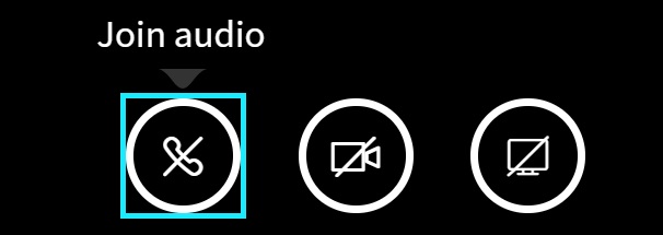 Image showing join audio aria label over the join audio icon